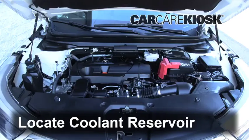 2020 Acura RDX 2.0L 4 Cyl. Turbo Coolant (Antifreeze)